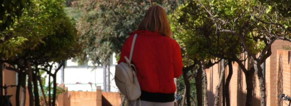 Plan de Apoyo a Refugiados