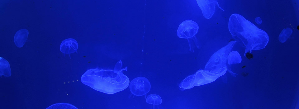 BioDomo - Parque de las Ciencias de Granada