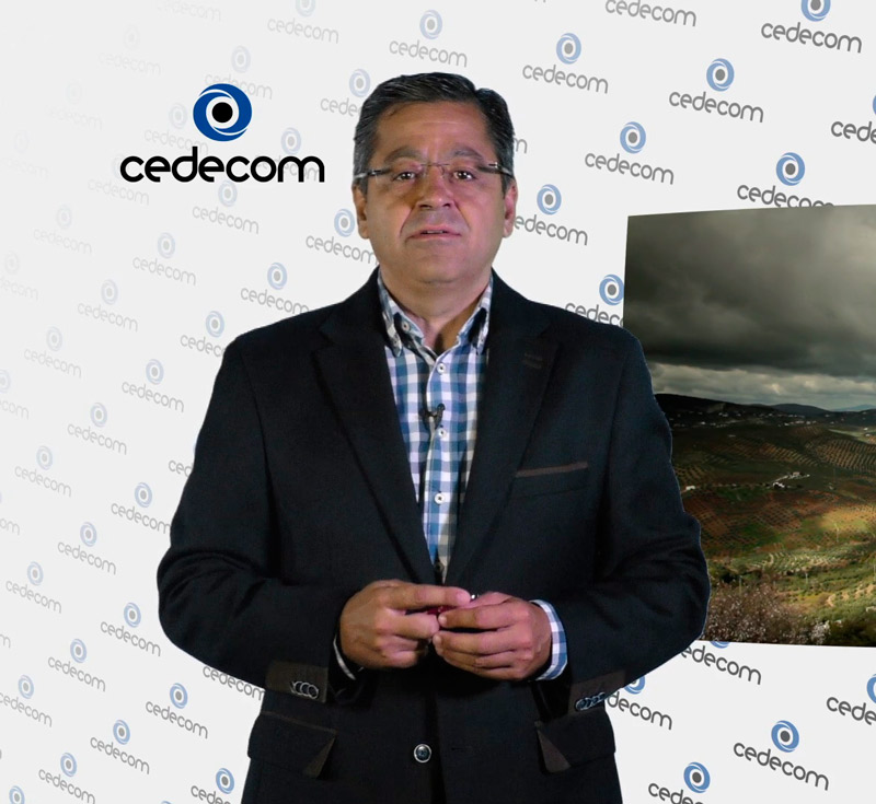 Fabricantes de aceite