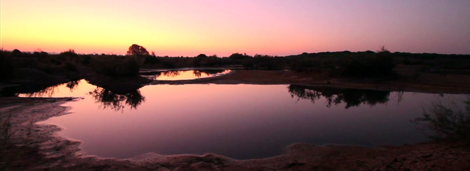 Humedales