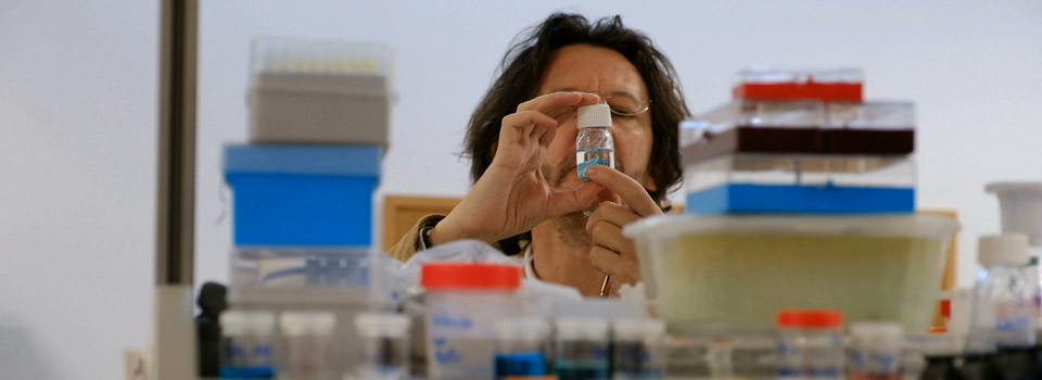 Julyan Cartwright - Física