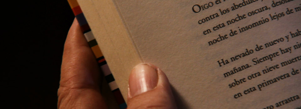 Poesía