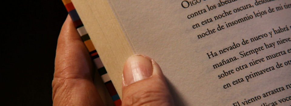 Presencias literarias