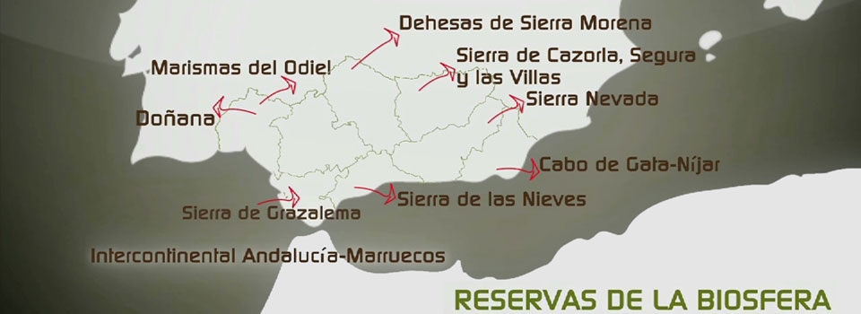 Reservas de la Biosfera