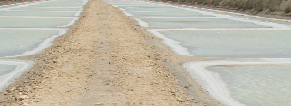 Salinas