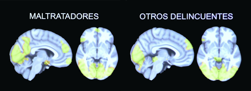 Violencia de género
