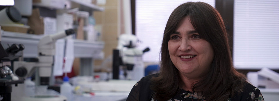 María del Carmen García