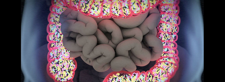 Microbiota