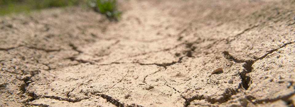 Solución a la sequía, Proyecto Agua+S