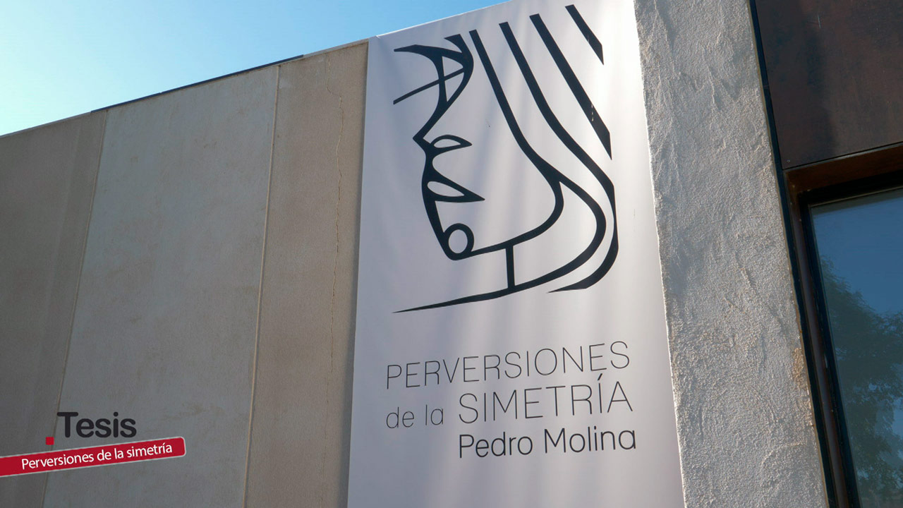 Perversiones de la Simetría, Pedro Molina