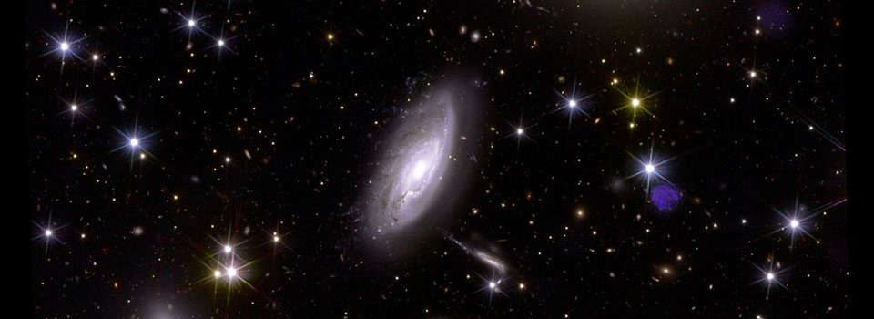 El cante de las estrellas