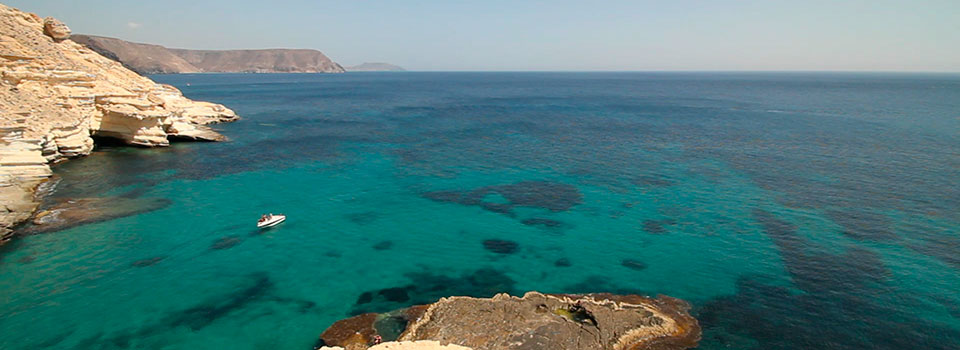 Oceanaria