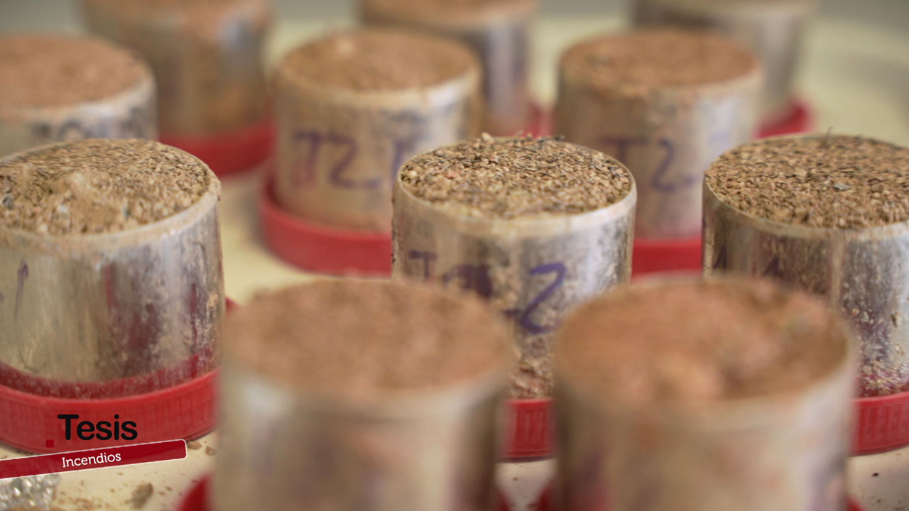 Prevención de incendios desde la universidad