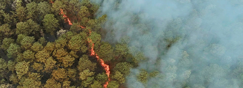 Prevención de incendios desde la universidad