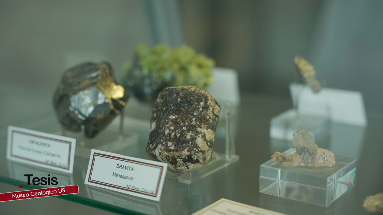 Museo de Geología de la Universidad de Sevilla