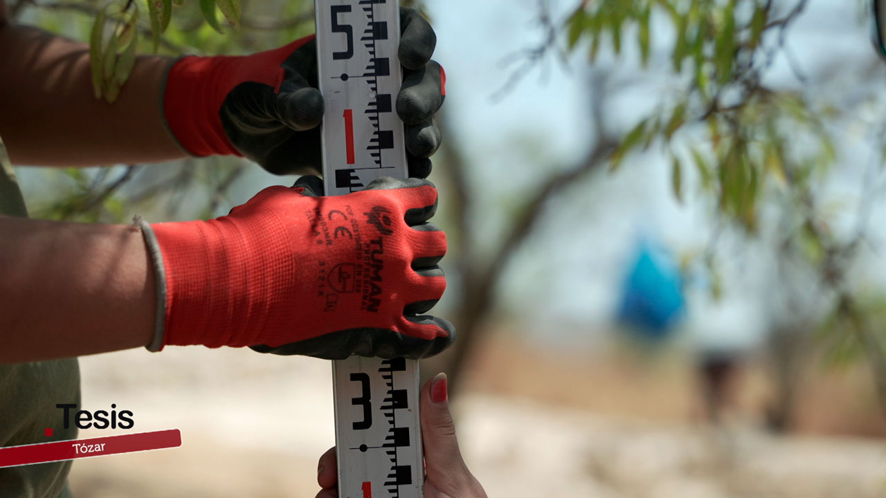 Yacimiento arqueológico de Tózar