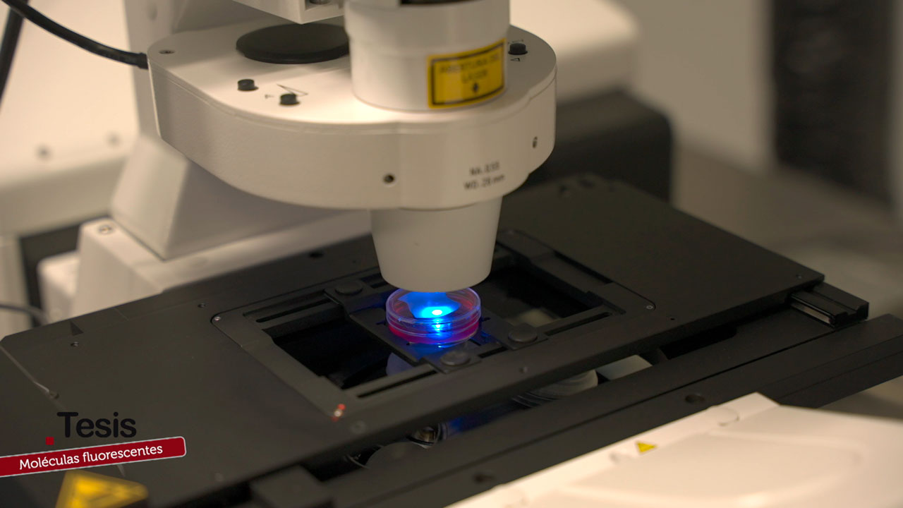 Moléculas fluorescentes, un avance clave para bioimagen y biomedicina