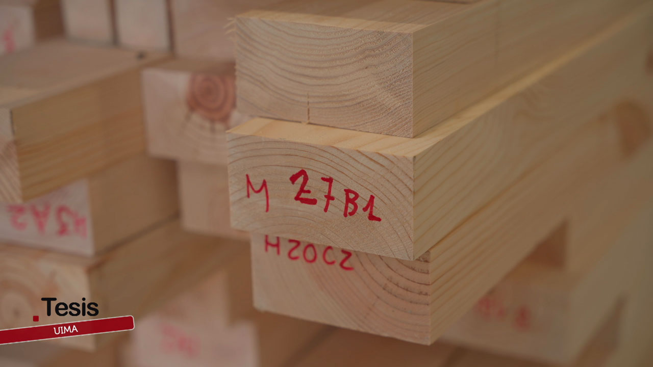 UIMA: laboratorio de madera estructural de Andalucía – Tesis – Canal Sur & Cedecom UIMA, el laboratorio andaluz que impulsa la construcción sostenible en madera