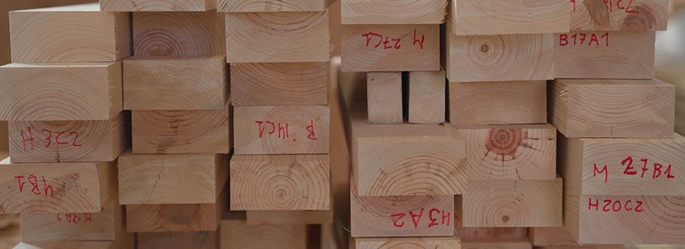 UIMA, el laboratorio andaluz que impulsa la construcción sostenible en madera