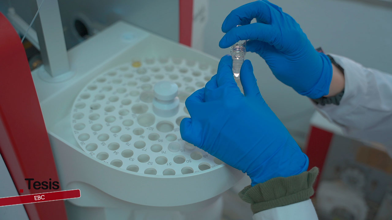 Empresas Basadas en el Conocimiento: de la universidad a la sociedad