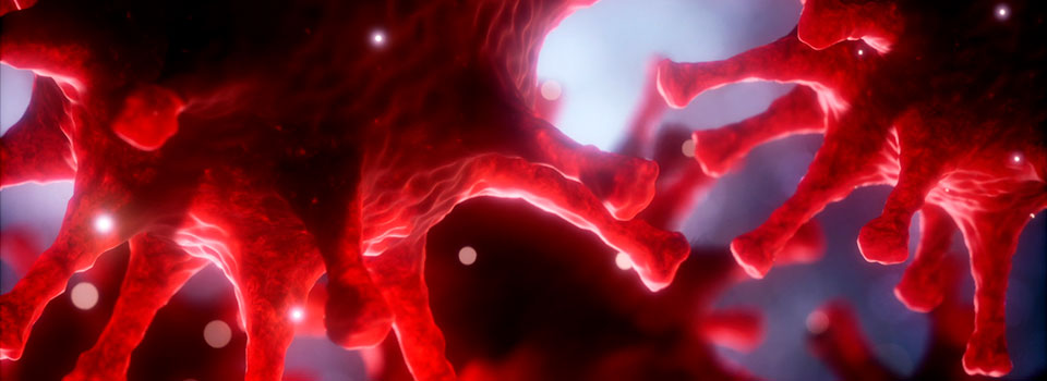 Molécula antiviral que muestra eficacia frente a adenovirus y citomegalovirus