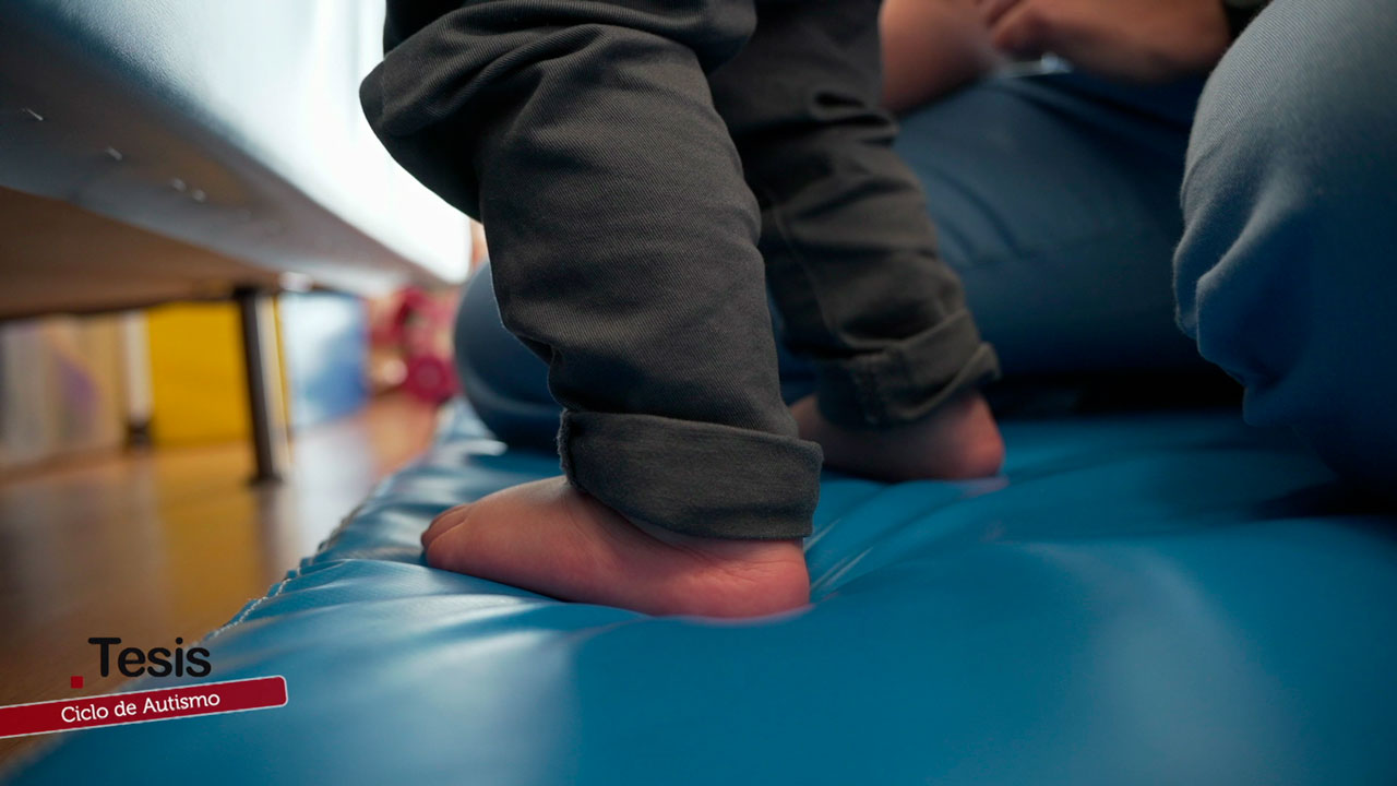 Ciclo de Autismo: formación para acompañar la neurodivergencia – Tesis – Canal Sur & Cedecom Autismo y neurodivergencia: formación y buenas prácticas en la Universidad de Málaga