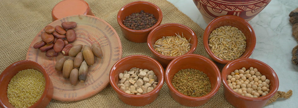 Qué comían los íberos hace 2.000 años: así era su dieta