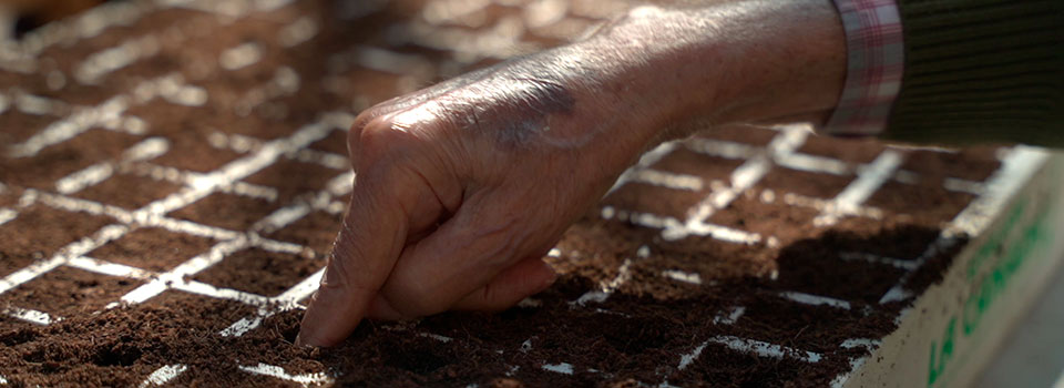El huerto universitario que mejora la salud mental y la inclusión social