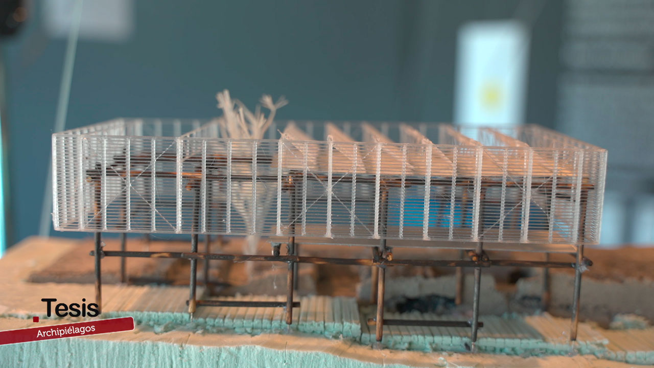 Archipiélagos, arquitectura sin centro – Tesis – Canal Sur & Cedecom Archipiélagos: la exposición que cambia la forma de entender la arquitectura