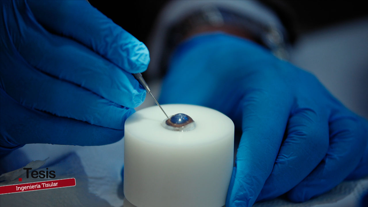 Ingeniería tisular: escamas con propiedades oculares – Tesis – Canal Sur & Cedecom La investigación andaluza que abre una nueva esperanza para los trasplantes de córnea