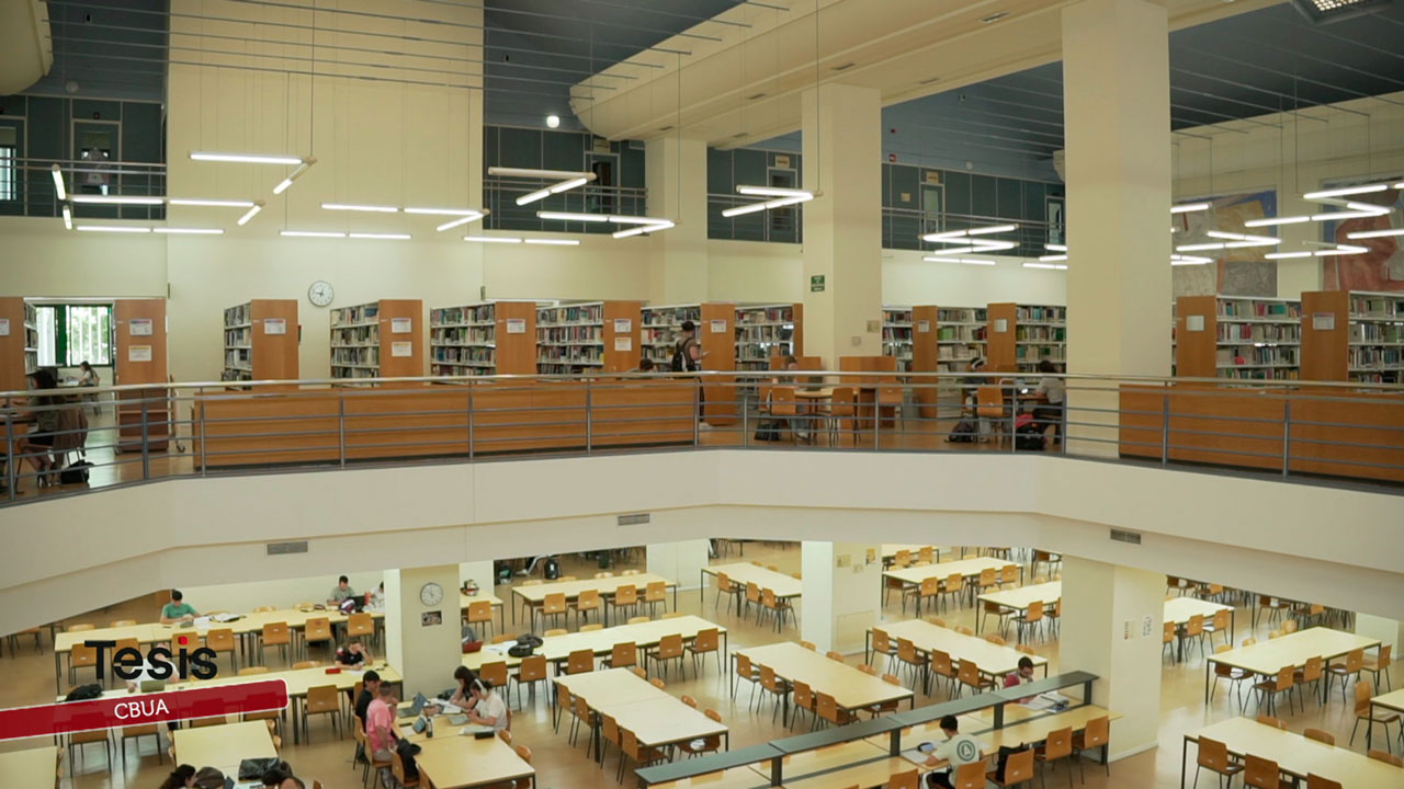 Diez universidades, una gran biblioteca: así se comparte el conocimiento en Andalucía CBUA: así funciona la red que conecta las bibliotecas de las diez universidades públicas andaluzas