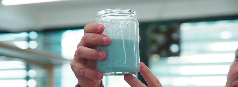 Crean en Sevilla una crema de chía con omega 3 que podría beneficiar al corazón y al intestino.
